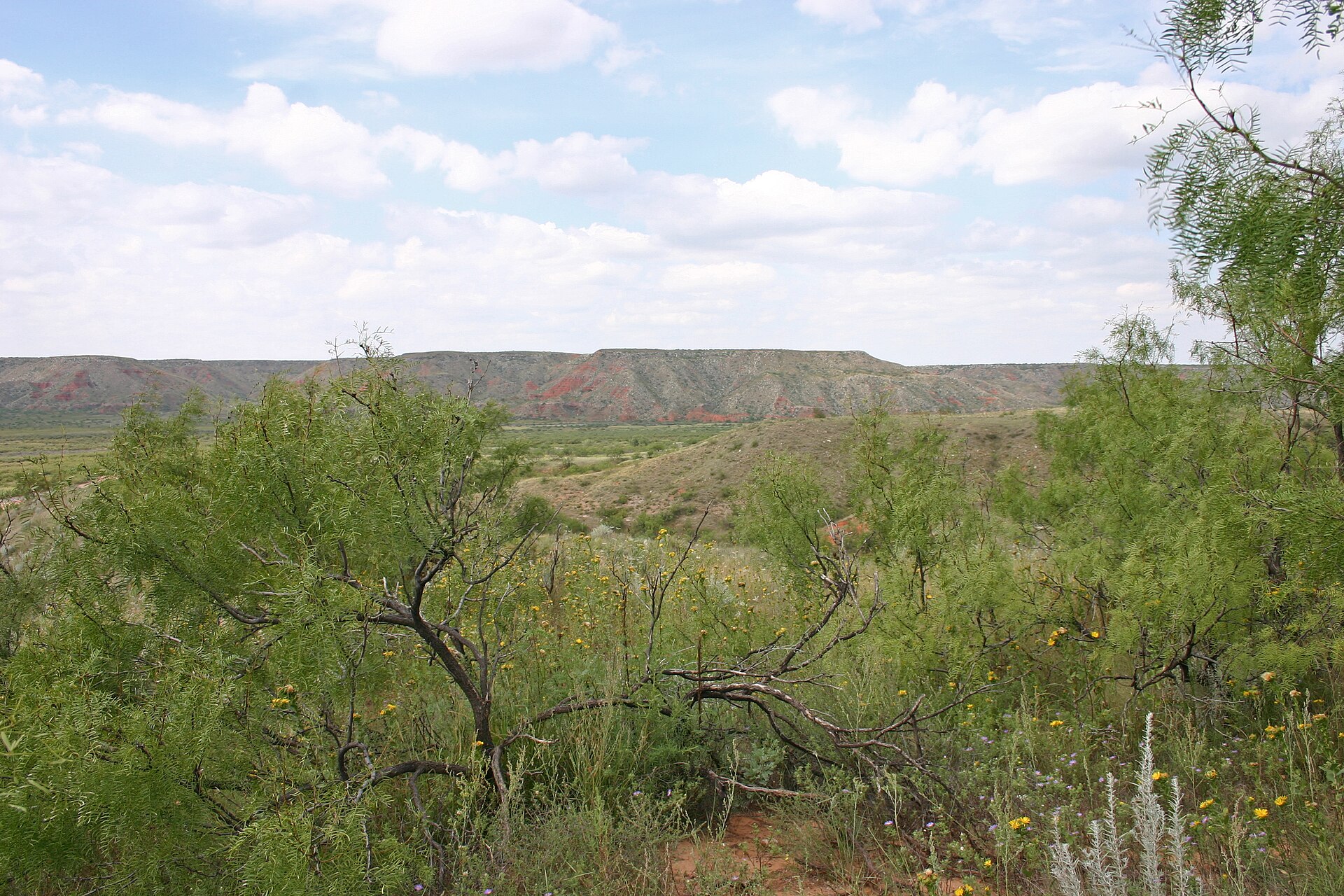 Is Right Now a Good Time to Buy a House in Amarillo, Texas or Should I Wait?
