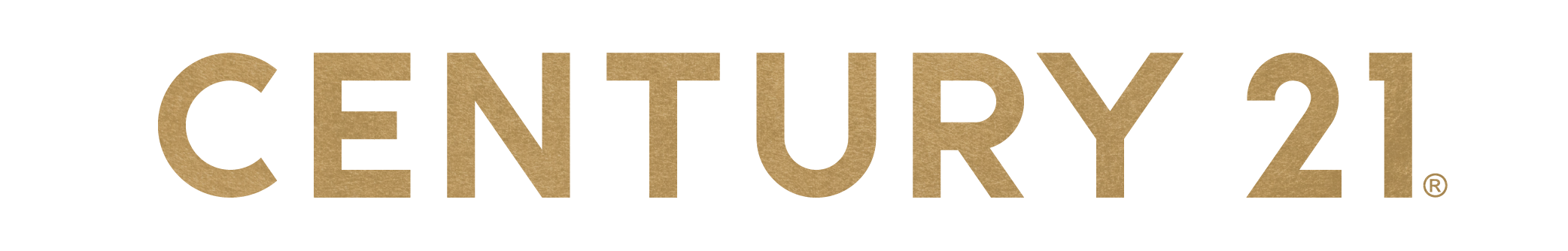 Stacy Gott logo