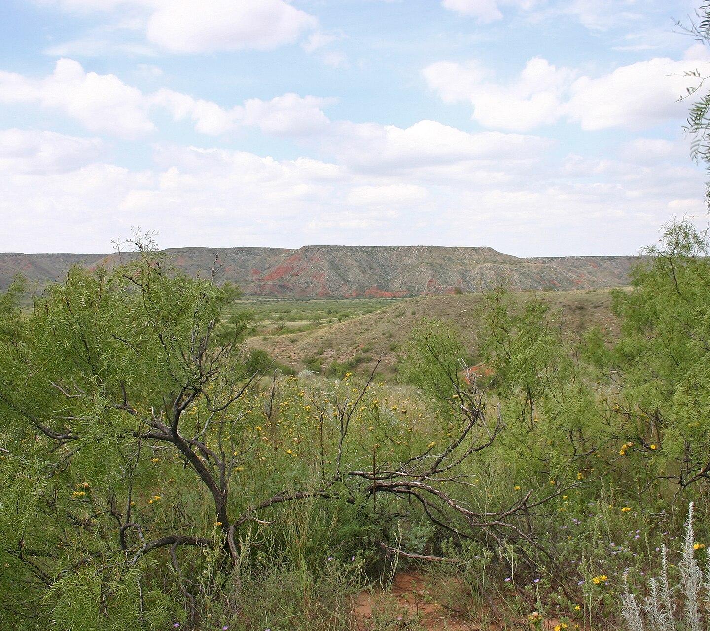Amarillo, Texas Knows the Heritage Hills Area Inside: Real Estate Market Guide, Prices, Neighborhoods and Timing